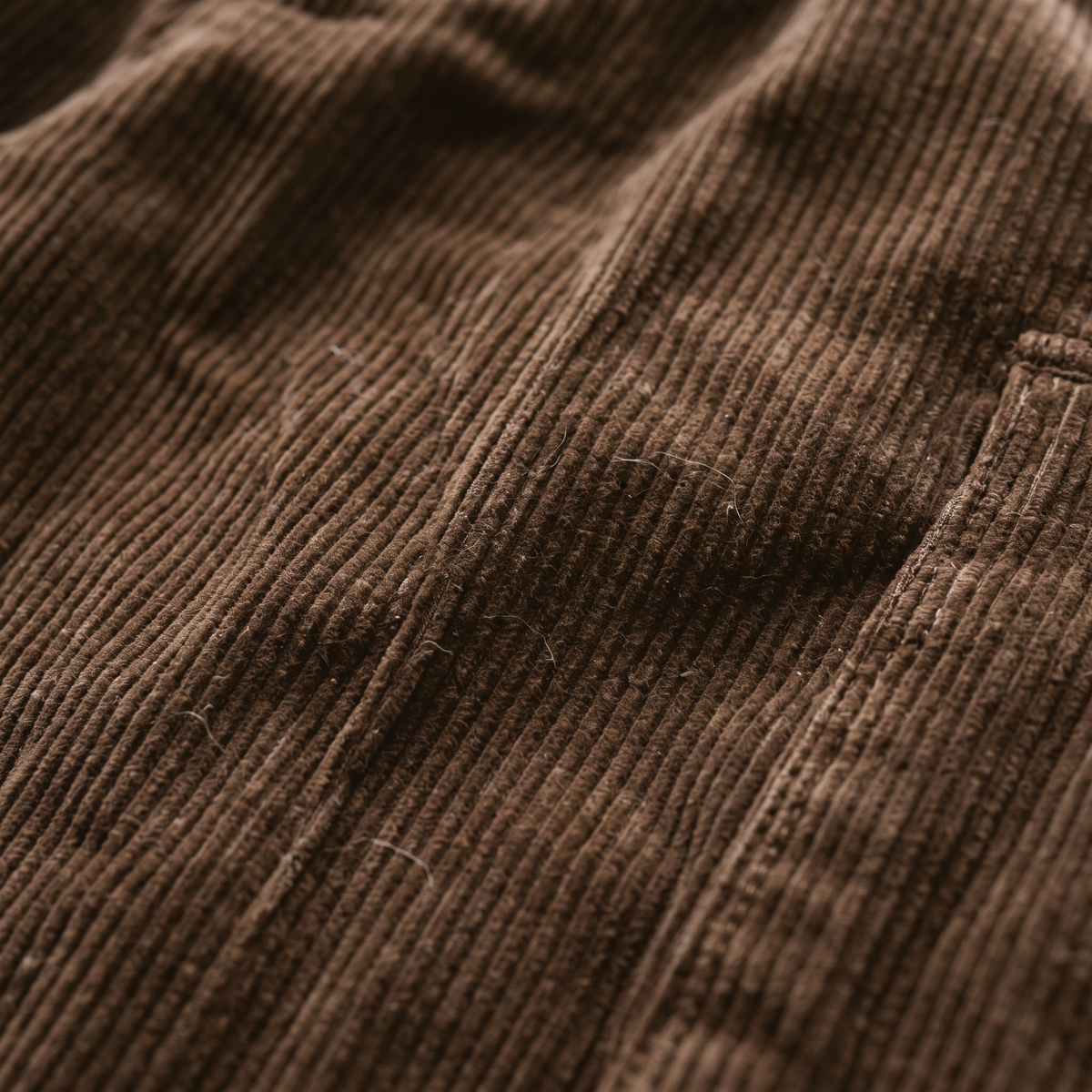Corduroy Cargo Pants Brown fabric texture